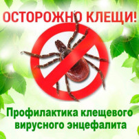 ‼ ПАМЯТКА по профилактике клещевых инфекций.🕷 ‼ ПАМЯТКА по профилактике клещевых инфекций.🕷 .